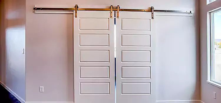 Glass Barn Door with Installation Hardware Kit North Canton